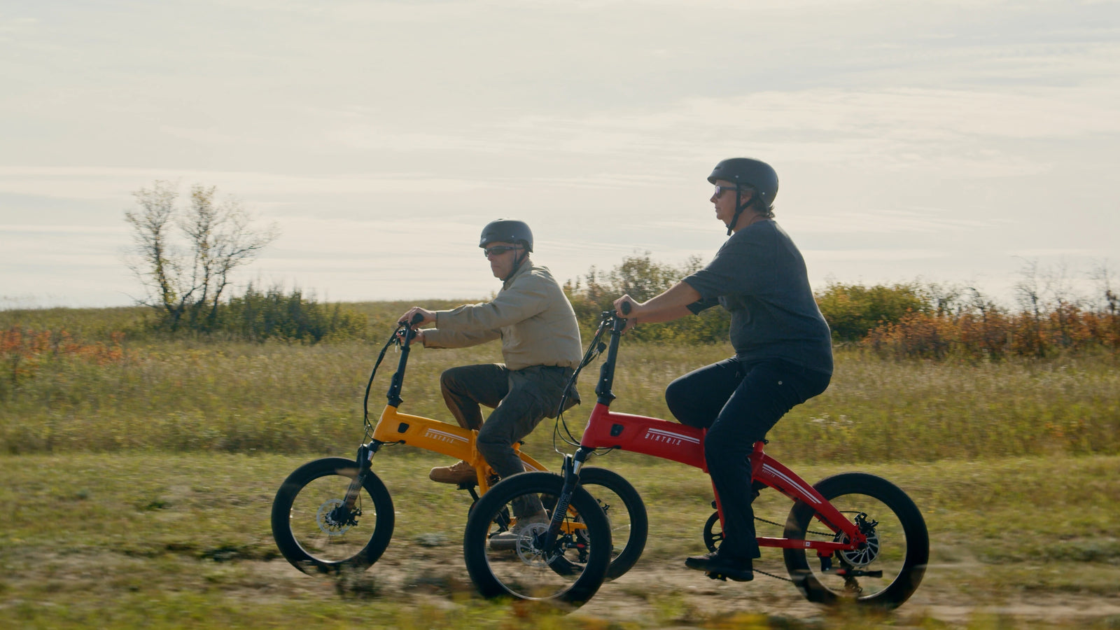 Specialty Electric Bikes