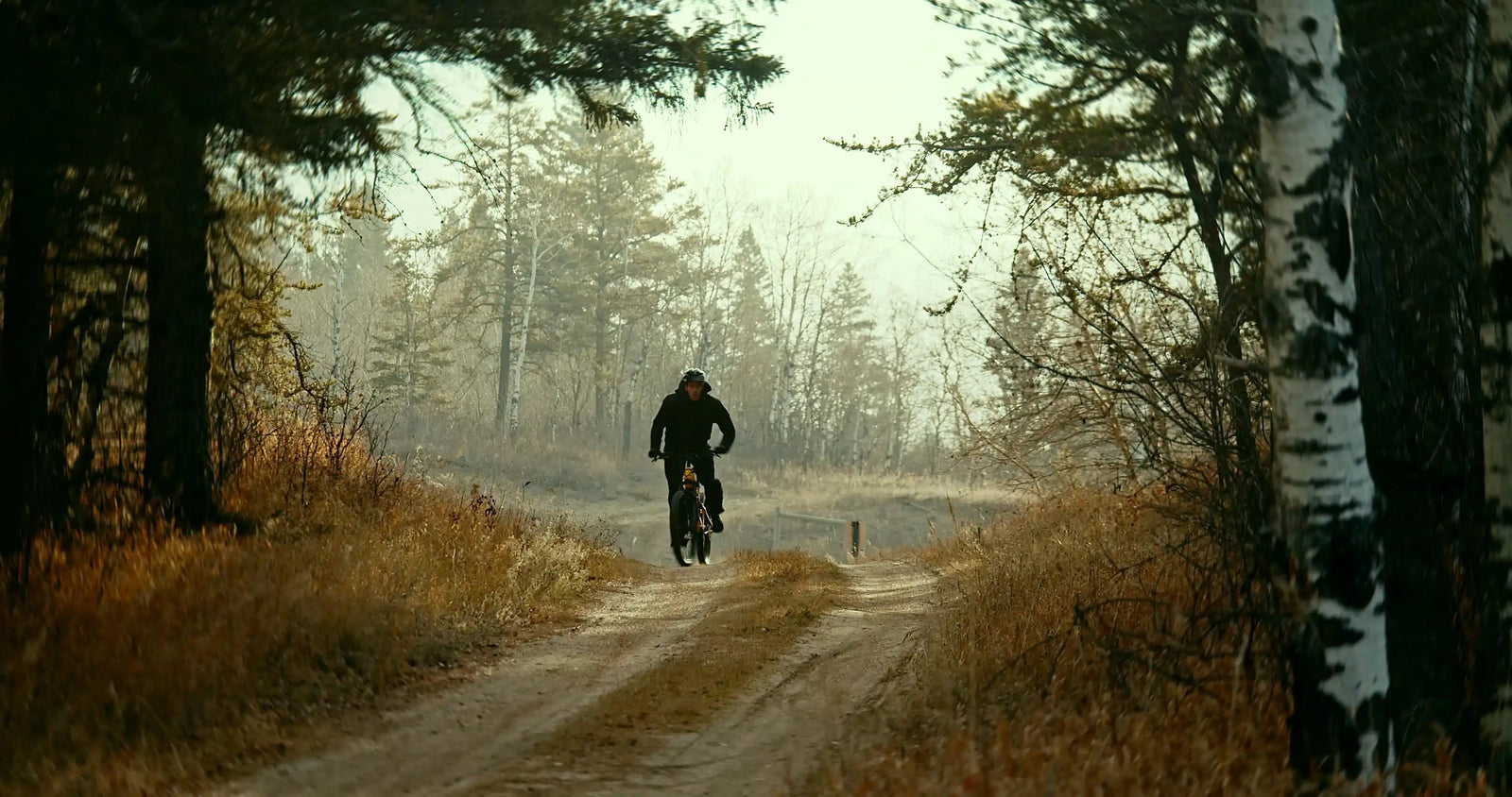 Carbon Fiber Electric Bikes - Monte Capro Series