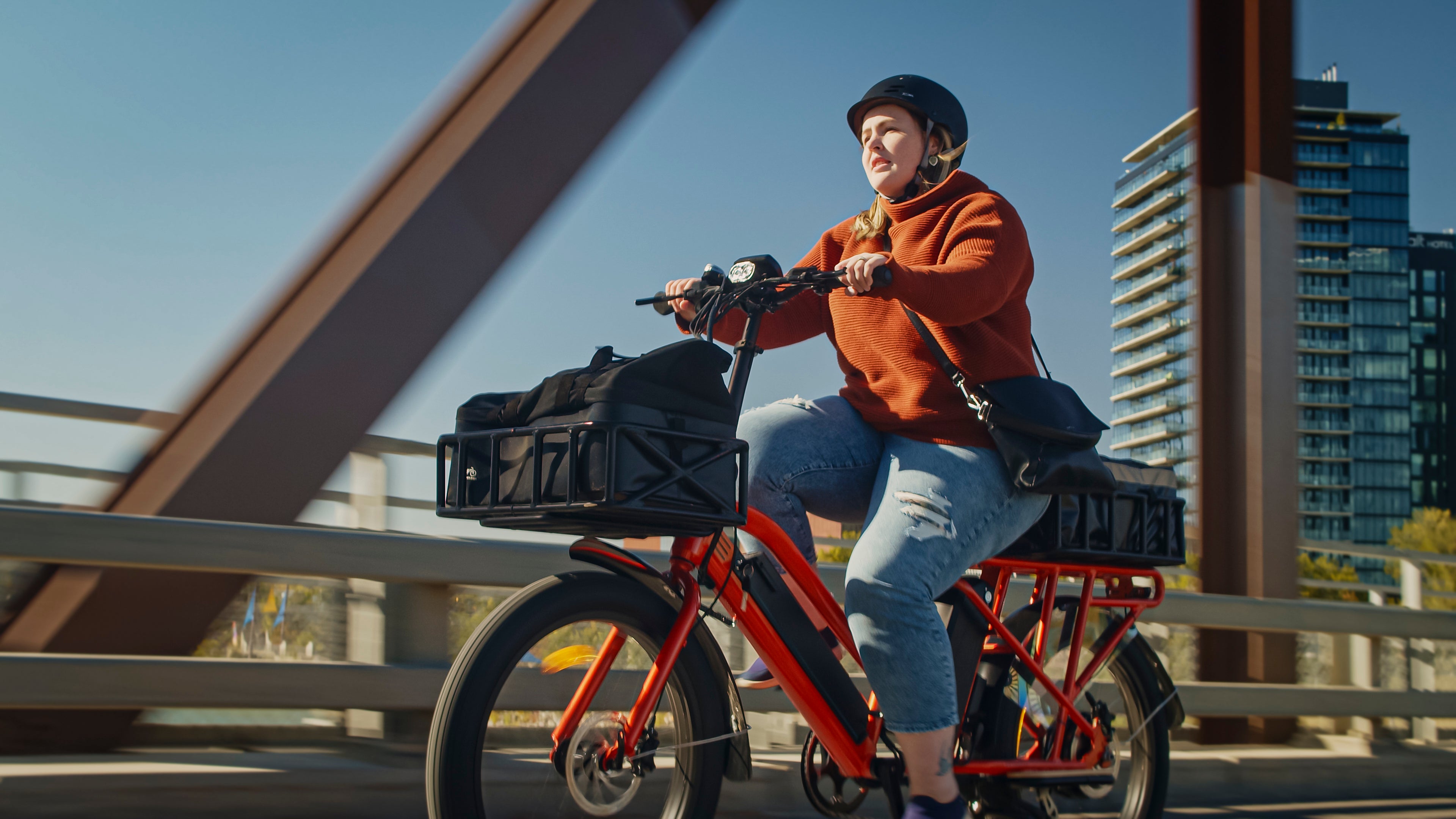 Cargo Electric Bikes | Biktrix