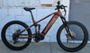 Bronze Juggernaut Ultra FS Pro 1 Large 27.5x3