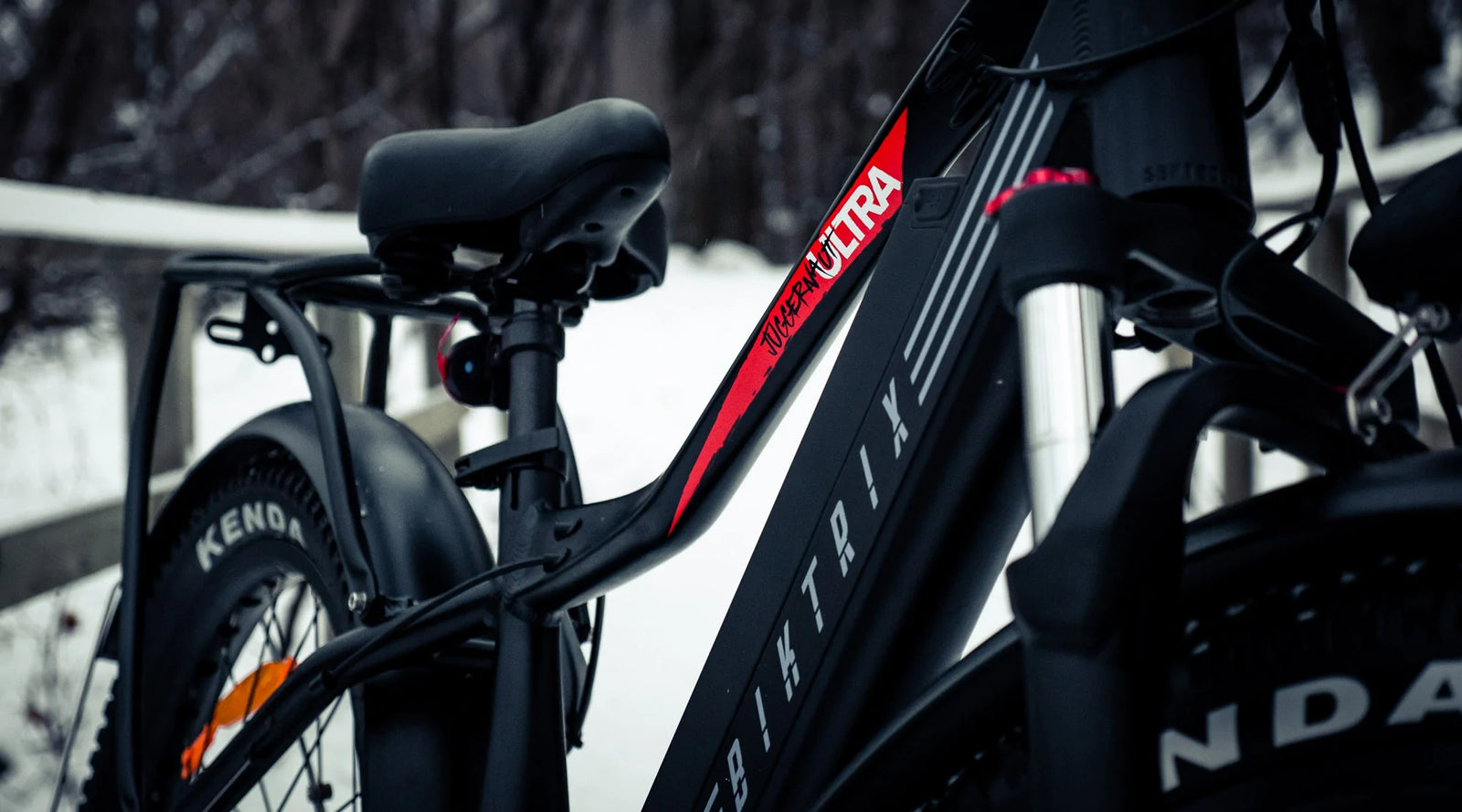 Dual Battery Electric Bikes