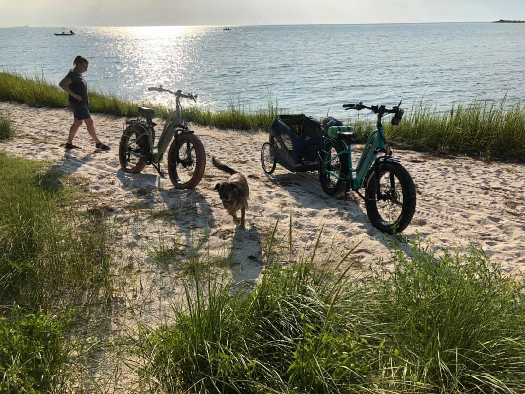 All Terrain Electric Bikes