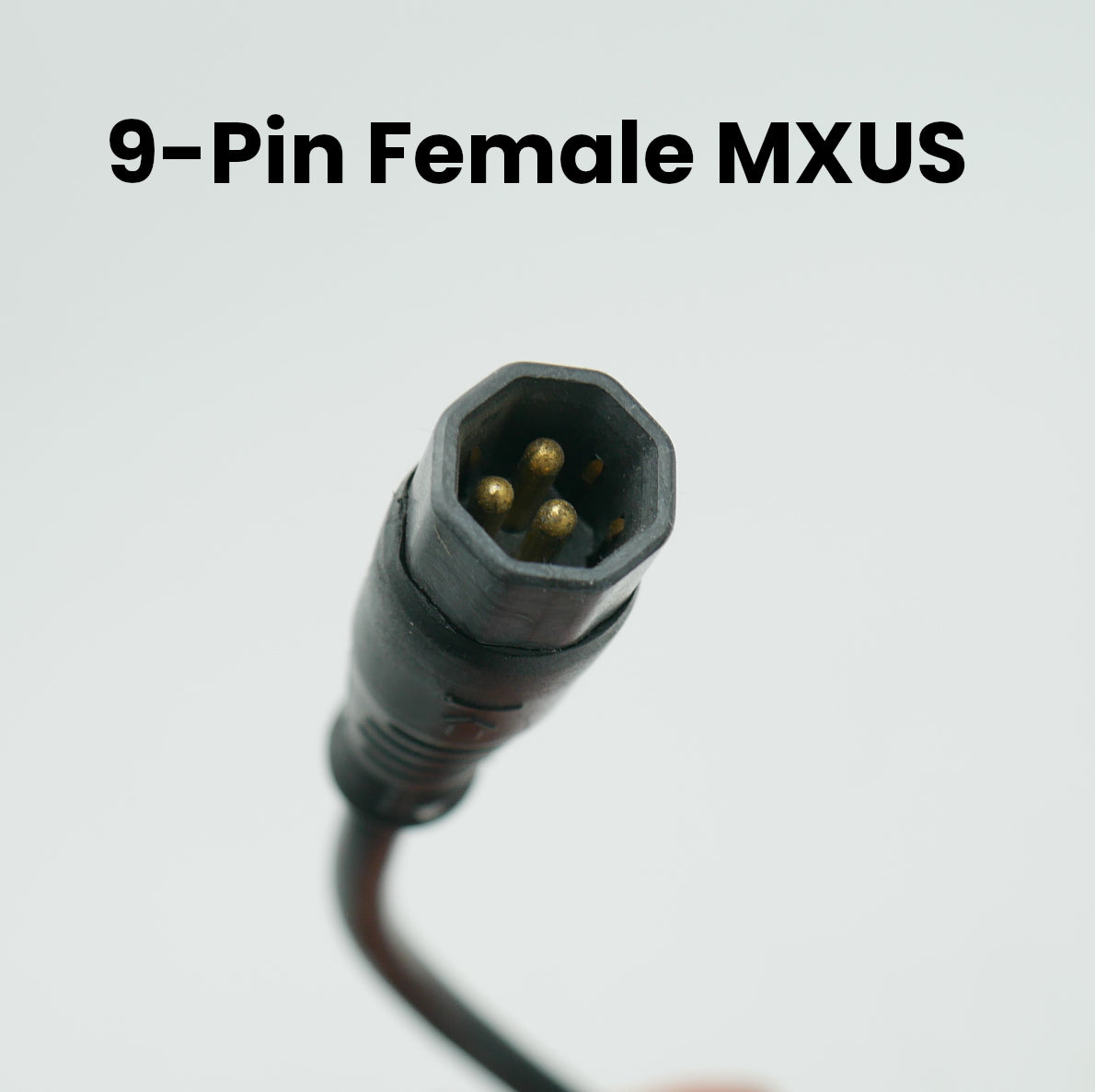 MXUS 48V 750W Hub Motor in 24" Wheel