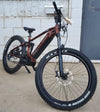 Bronze Juggernaut Ultra FS Pro 1