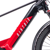 Downtube Hidden Battery for Swift CVT Series