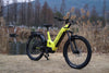 Juggernaut FS Step-Thru MTB
