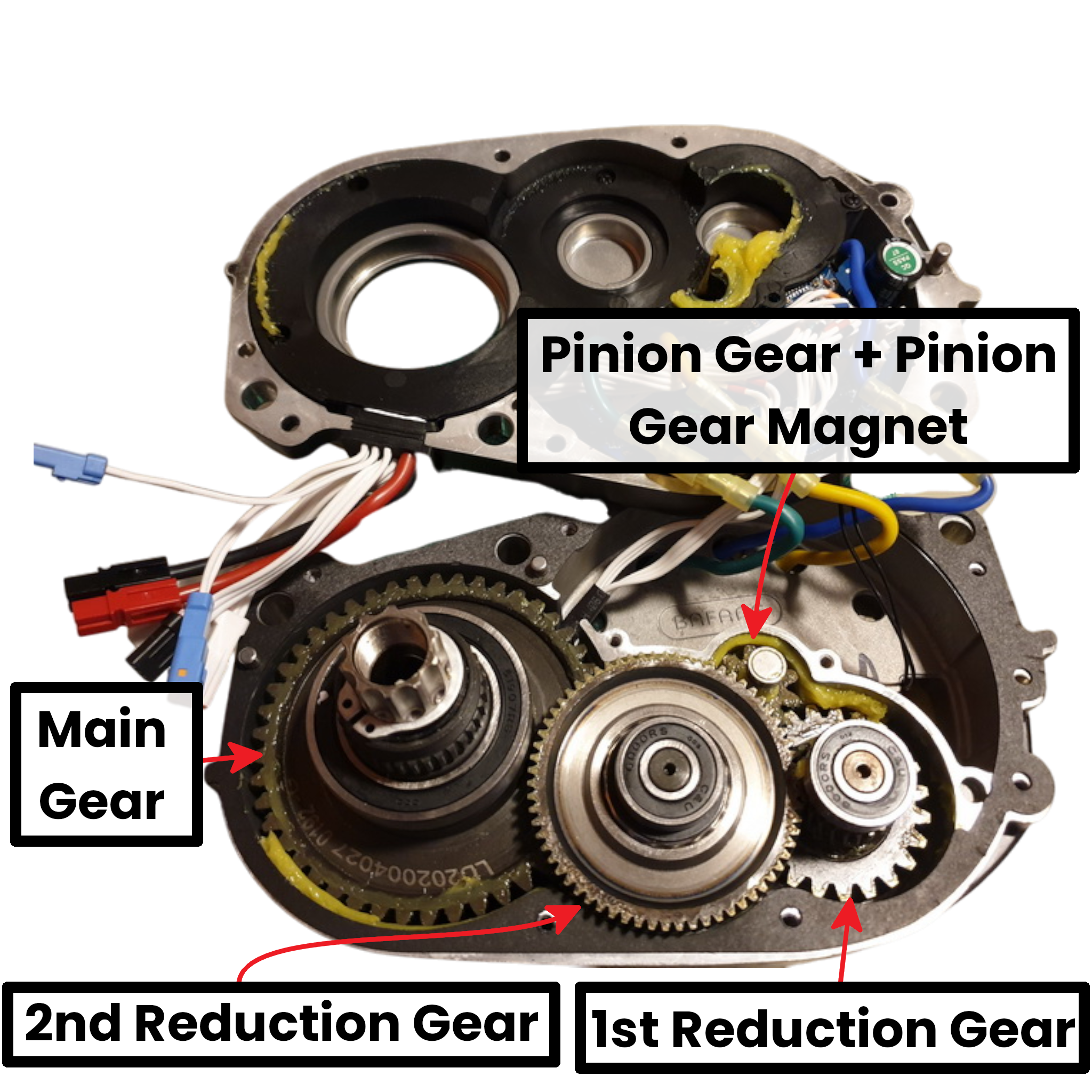 motor reduction gear Ultra Motor 1st Reduction Gear