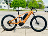 Juggernaut FS XD MTB