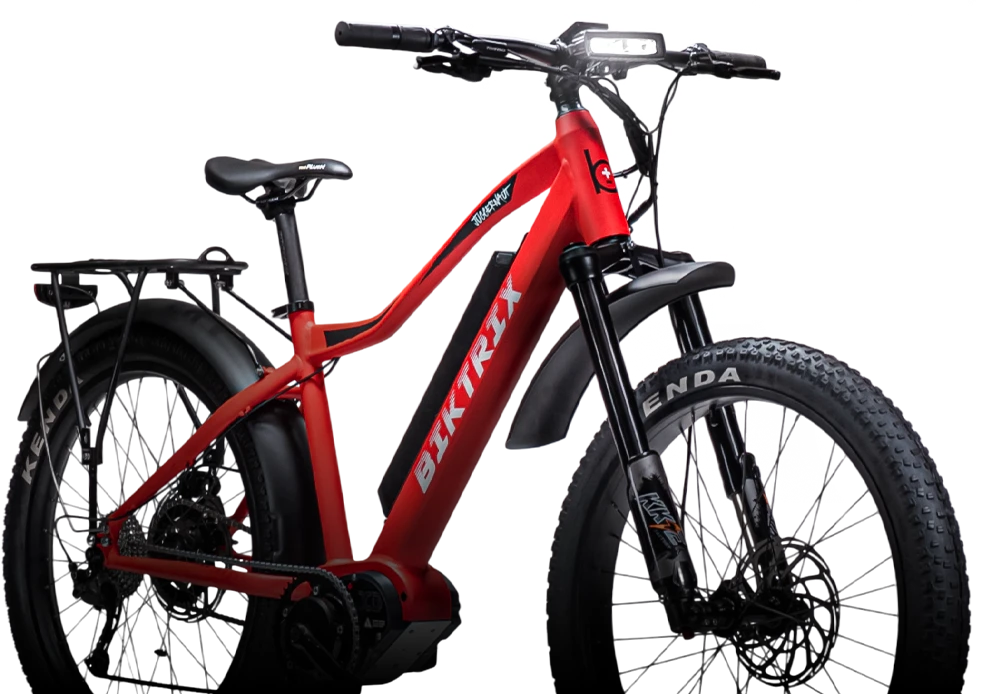 Ebikes Online Fast Shipping Electric Bikes Designed in Canada