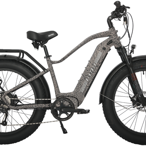 Juggernaut Hub Duo Step Over eBike