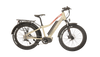 bike with bafang ultra motor