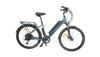 1000w commuter ebike